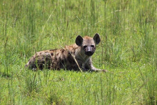 3 Days Murchison Falls Holiday Safari