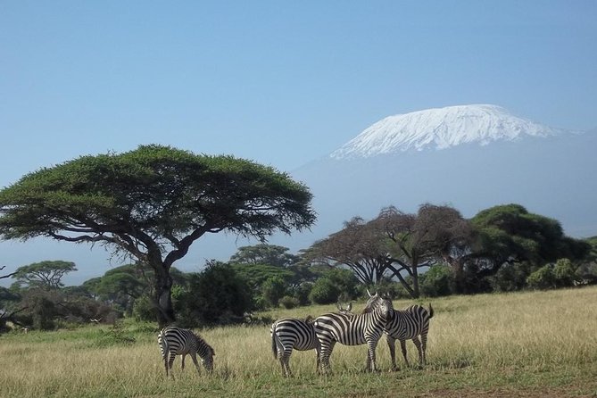 2 Best 3 Day Tours In Diani Beach