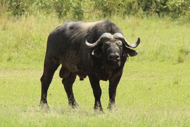 3 Days Safari Tour in Lake Manyara and Ngorngoro
