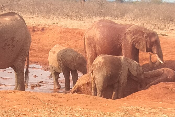3 Days Safari Tsavo East and West
