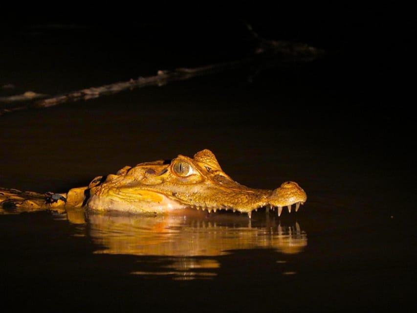 25 Best Tours In Puerto Maldonado