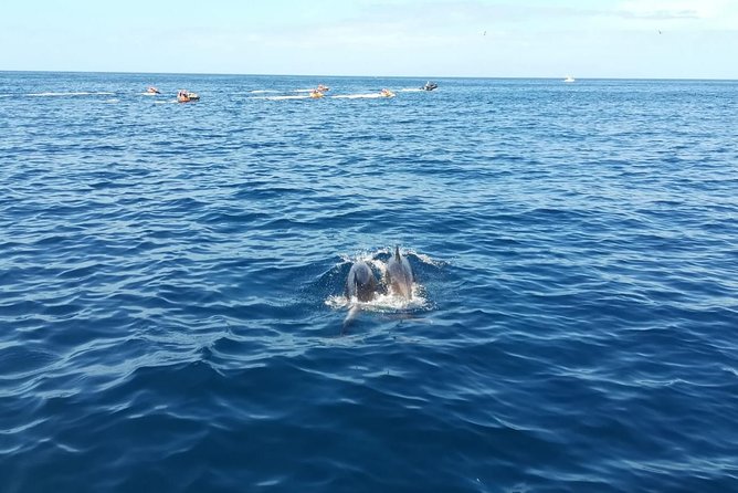 3-Hour Boat Trip From Costa Adeje in Tenerife