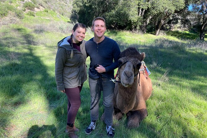 3 Hour Camel Trek Into the Forest and Ranch in California - Camel Trek Experience Overview
