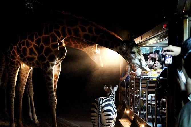 3-Hour Chiang Mai Night Safari