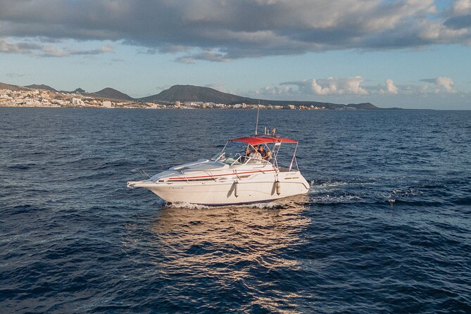 3 Hour Private Luxury Charter Experience in Costa Adeje, Tenerife