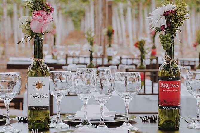 3-Hour Vineyard Wine Tour With Tasting - Inclusions and Amenities