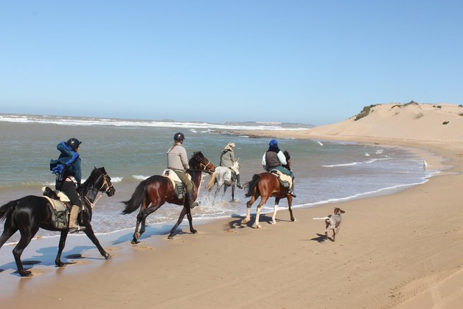 2 Best Dining Experiences In Essaouira