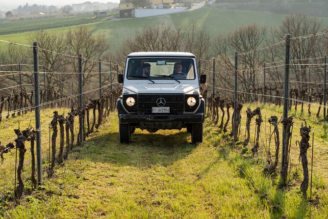 3-Hours of Activities With Safari Grand Tour and Tasting in Vineyards