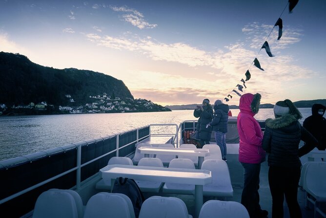 3 in 1 - Bergen Fjord Cruise, City Walk & Mt Flöyen Funicular - Fjord Cruise to Alversund Streams