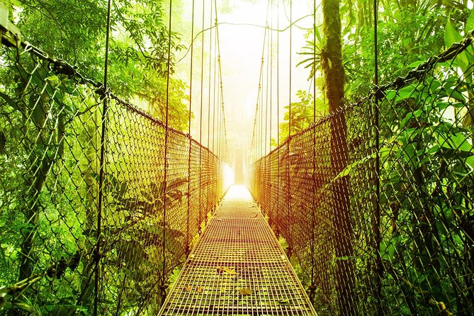 3 in 1 Eco Tour Rain Forest Aerial Tram, River Cruise & Nature Walk Private Tour - Overview of the Tour