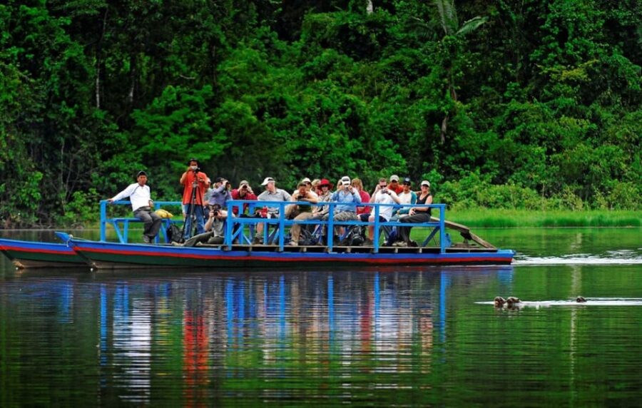 3D|| Tambopata Animal Safari Experience: Trust the Adventure