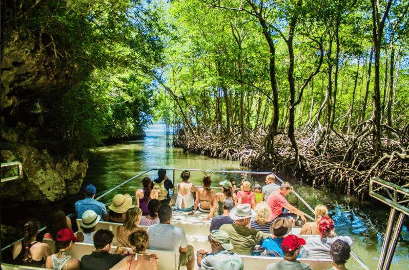 3in1: Los Haitises National Park + Yanigua Waterfall + Round Mountain