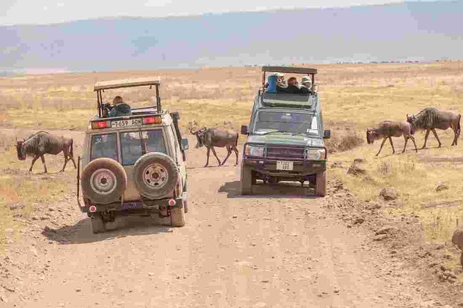 4-Day Basic Safari With Serengeti, Ngorongoro, & Tarangire