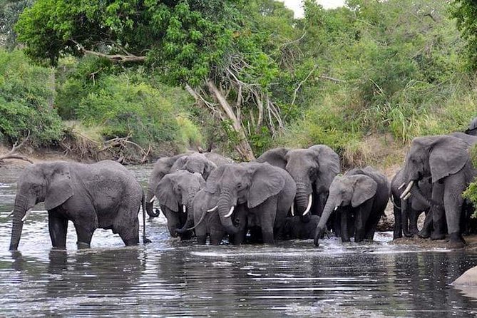 4-Day Group Tour to Tarangire, Serengeti, Ngorongoro – Lodge