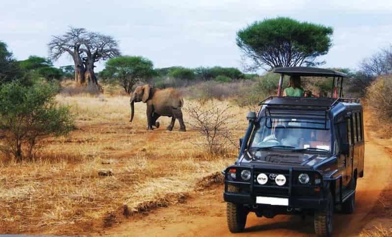 4 Day Kruger N Park & Blyde River Canyon Tour X Johannesburg