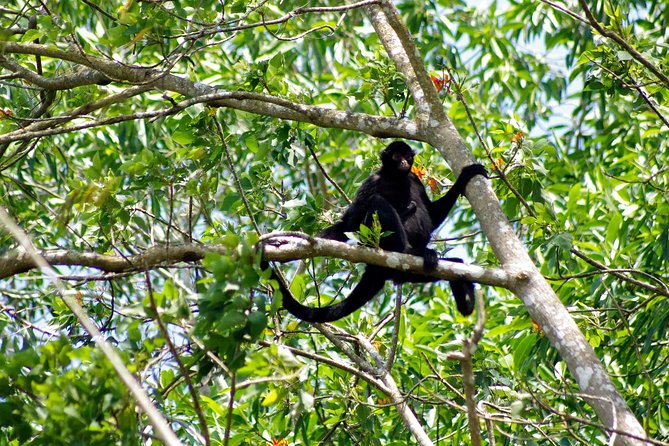 4 Day Refugio Amazonas – Classic Program – Group Service