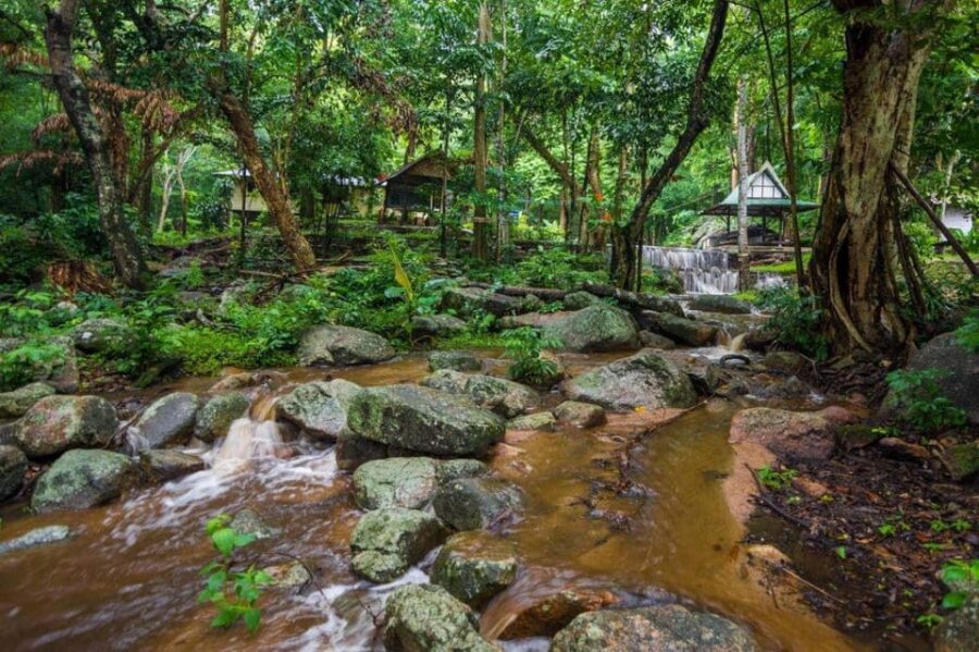 4-Day Tambopata Tour With Ayahuasca Ceremony - Tour Overview