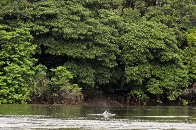 4-Day Trip: Cuyabeno Amazon Experience - Trip Overview