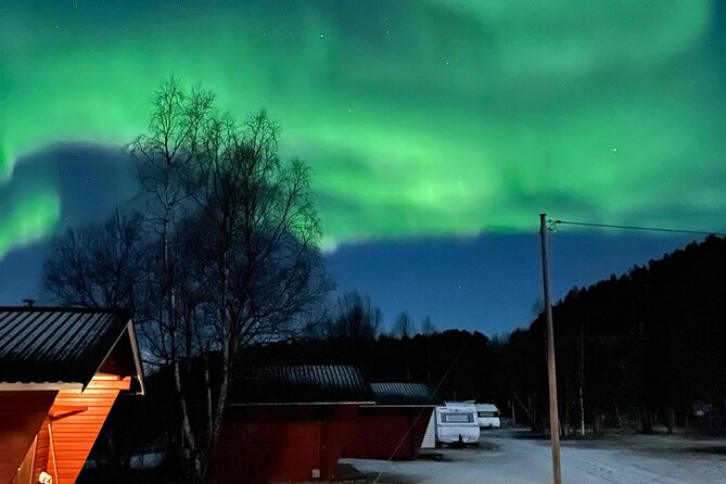4 Days, 3 Countries Tour: Northern Lights and Moose - Tour Highlights