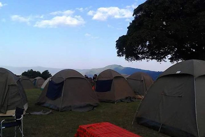 4 Days Affordable Tanzania Budget Safari
