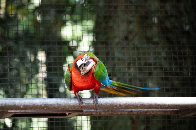 4 Days and 3 Nights 4 Stars Hotel Iguassu Falls - Private Tours