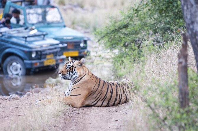 4 Days Golden Triangle Tour From Delhi With Leopard Jeep Safari