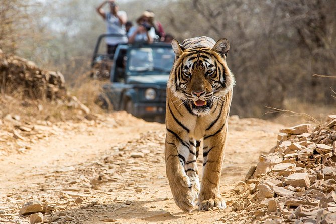 4 Days Golden Triangle Tour With Ranthambore From Delhi
