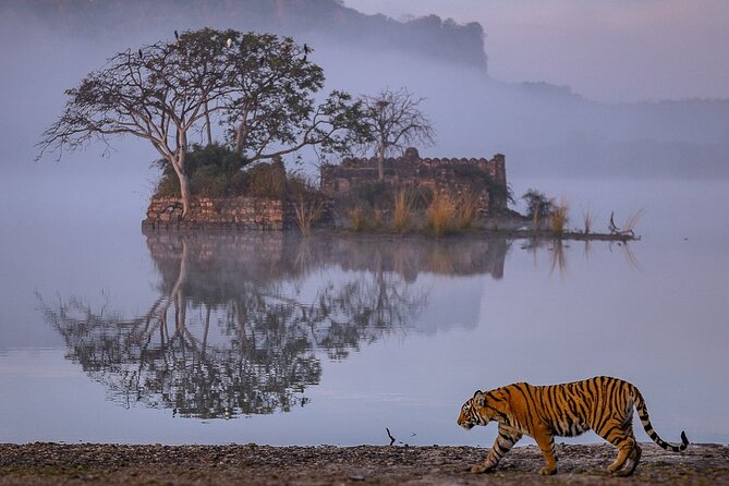 4 Days Jaipur, Ranthambore, Agra Tour Including Safari & Hotels - Tour Overview and Highlights