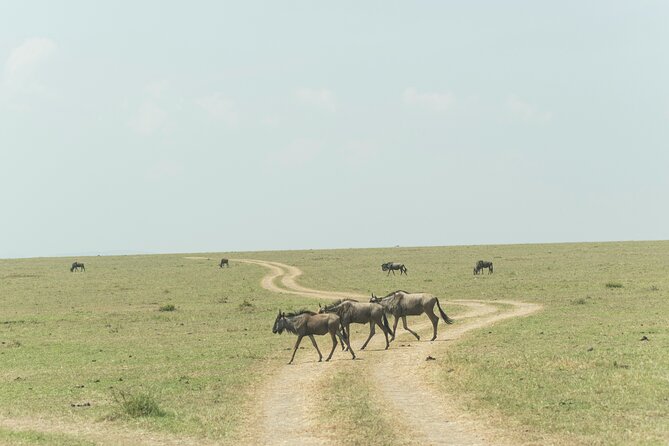 4-Days Tour to Tanzania National Parks