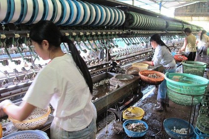 Best 4 Day Tours In Da Lat