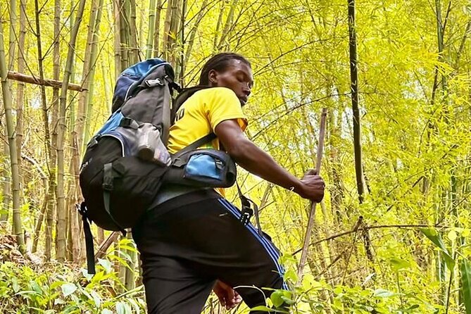 4-Hours Bike, Hike & Waterfall Tour in Blue Mountain With Lunch and Pick up - Tour Overview