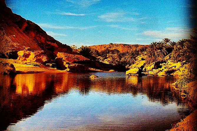 4×4 Excursion to Safsaf Wild Oasis With Traditional Berber Picnic