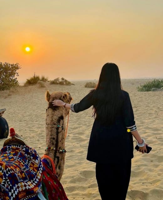 4×4 Jeep Safari and Camel Safari With Dinner on Sand Dunes