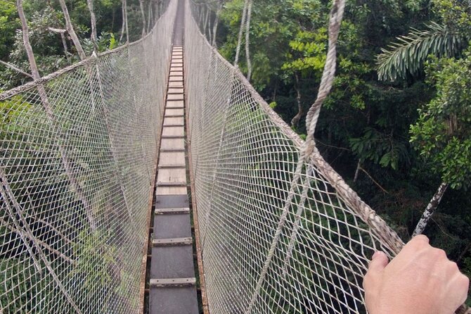5-Day All Inclusive Guided Jungle Tour From Iquitos at Maniti Eco-Lodge