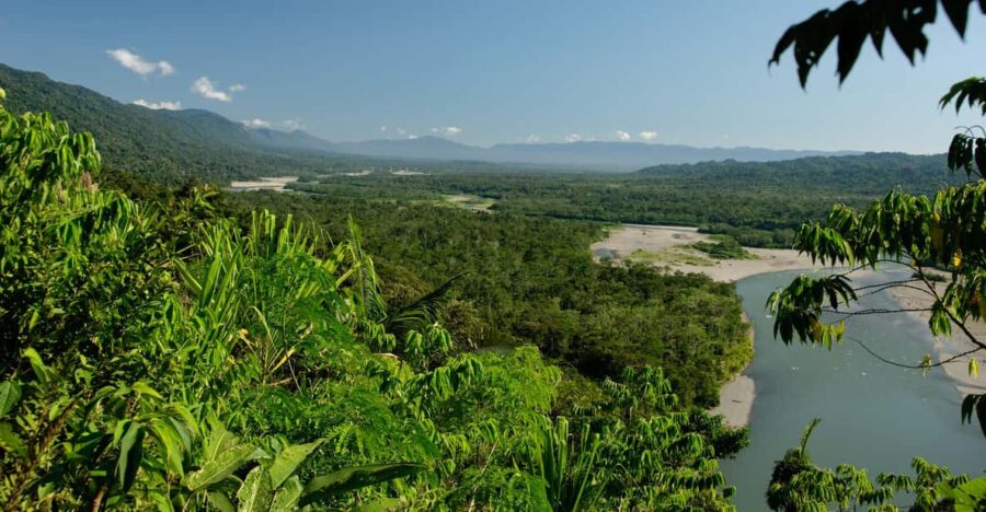 5-Day Excursion to Manu National Park