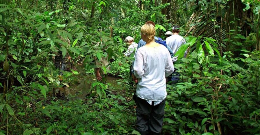 5-Day Excursion to the Manu Cultural Zone