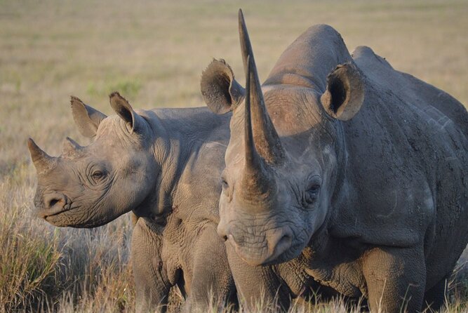 5 Day: Scenic Northern Circuit Safari