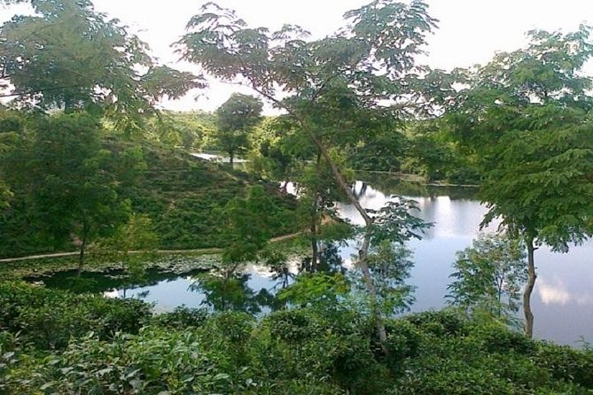 5-Day Sightseeing Tour in Srimangal and Sylhet