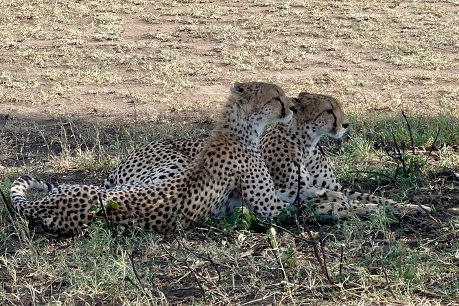 5-Day Visit Zimbabwe, Zambia, Botswana & Namibia Island