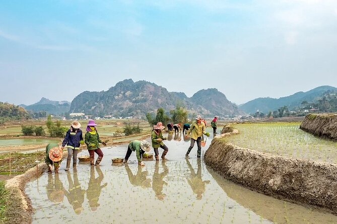 5 Days North Vietnam at a Glance:Hanoi, Halong Bay & Sapa