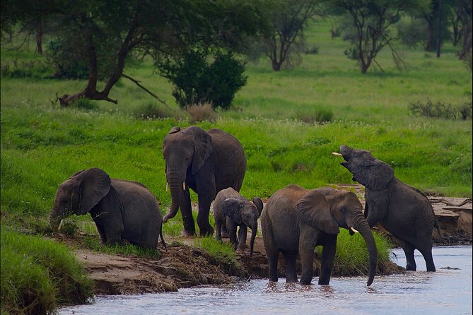 5 Days Northern Tanzania Safari- Lodging