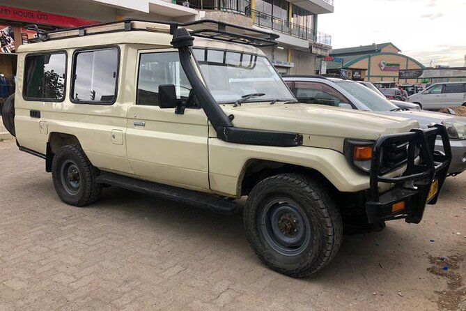 5 Days Under Serengeti Skies Tour - Exploring the Serengeti Wilderness