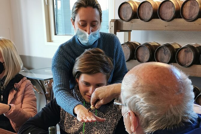 5-Hour Food and Wine Tasting in Modena