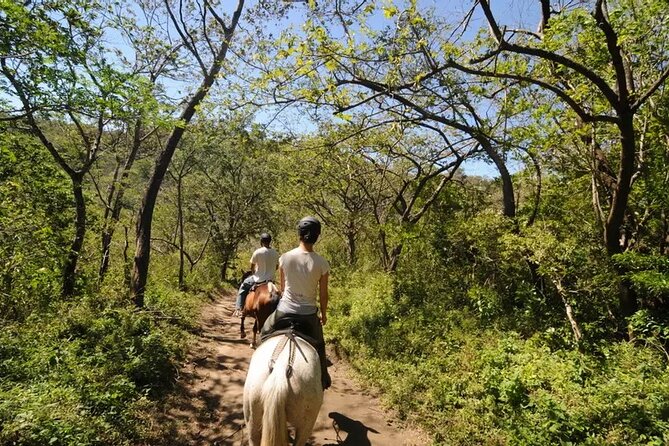 5-In-1 Rincon De La Vieja National Park Buena Vista Eco Adventure Day Tour - Highlights of the Adventure