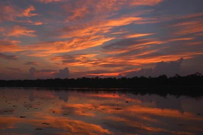 6-Day All Inclusive Guided Jungle Tour From Iquitos at Maniti Eco-Lodge