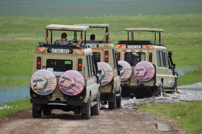 6-Day Big Five Magic Safari Tour - Tour Overview