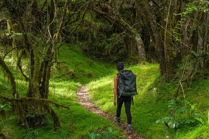 6-Day Mount Meru Climb Through Momella Route Guided Tour - Tour Overview