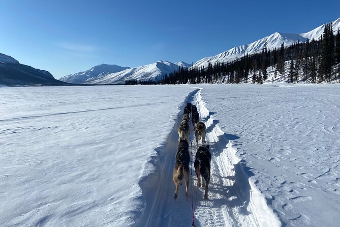 6 Days Brooks Range Expedition Private Tour - Tour Overview