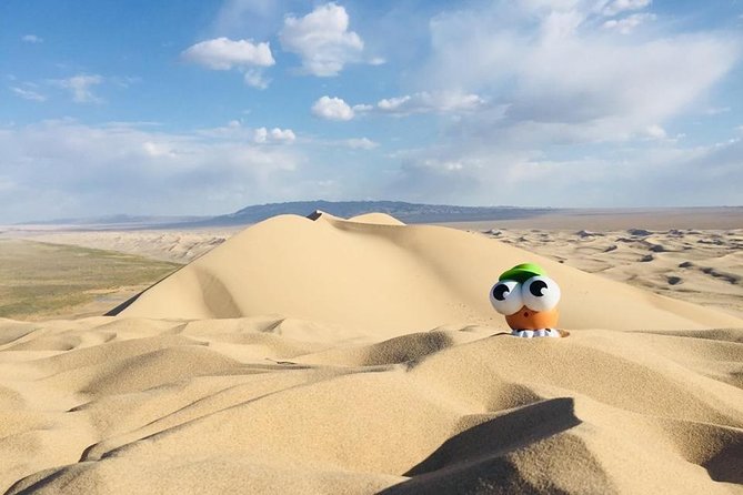 6 Days Private Tour in Gobi Desert