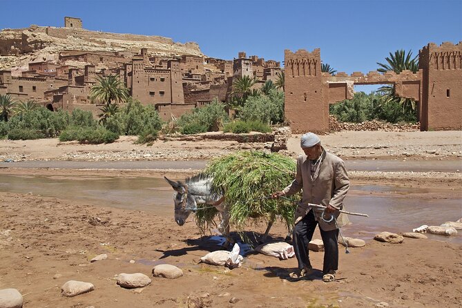 6 Days Tour From Casablanca to Marrakech via Imperiale Cities and Sahara Desert - Transportation and Accommodation